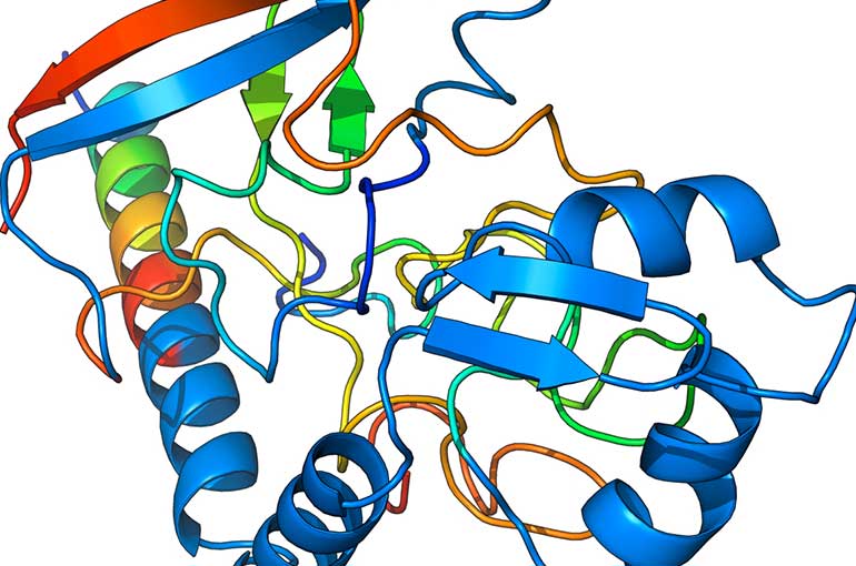 Scientists revealed a weak spot of the Huntington’s disease