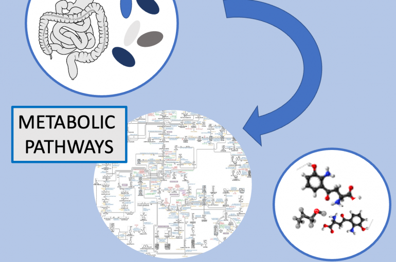 Human microbiota: innovative method to identify alterations in metabolic diseases
